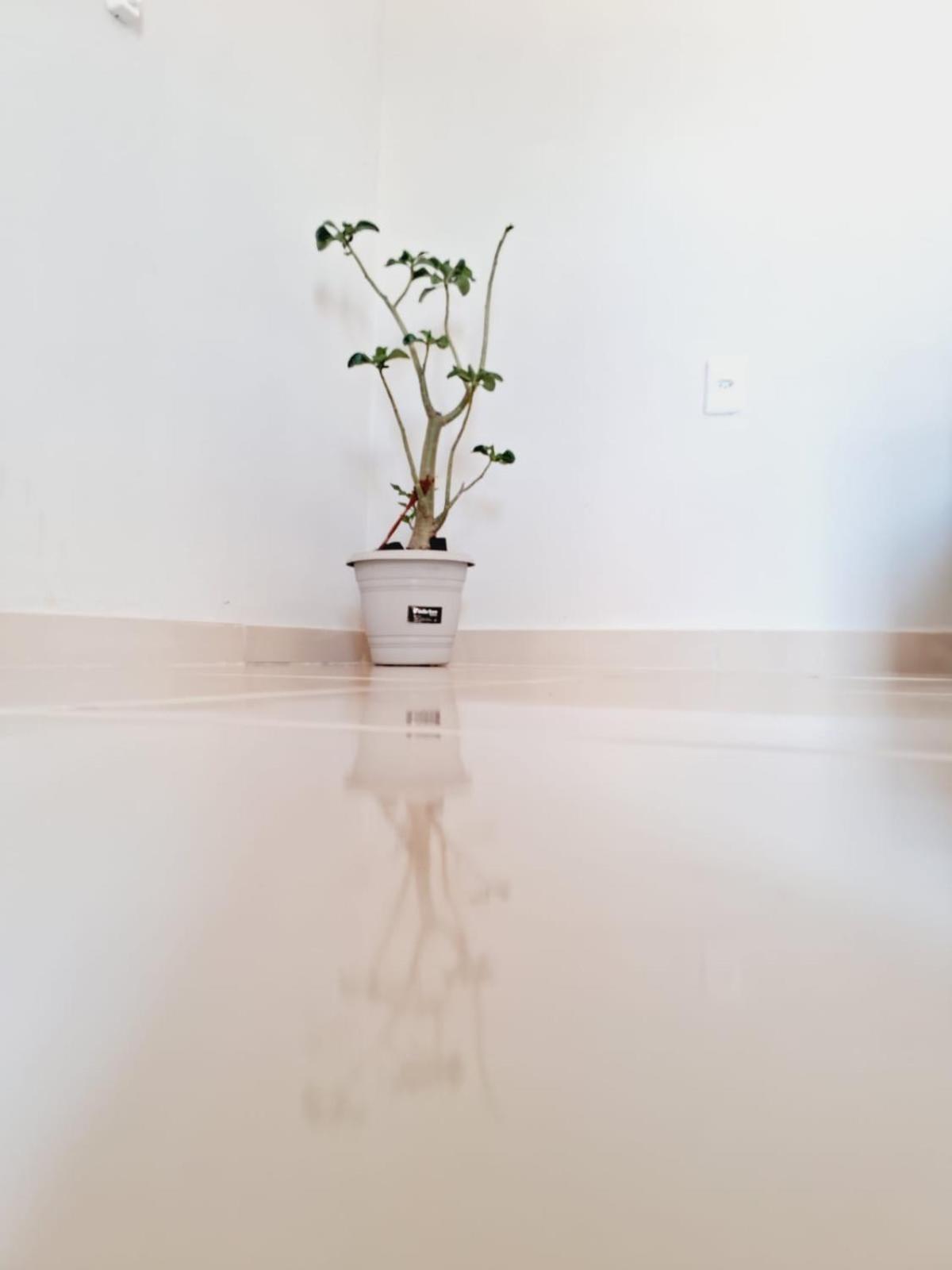Flat Compacto E Mobiliado Proximo A Rodoviaria Aeroporto Apartment Palmas  Exterior photo