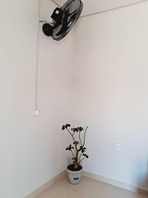 Flat Compacto E Mobiliado Proximo A Rodoviaria Aeroporto Apartment Palmas  Exterior photo